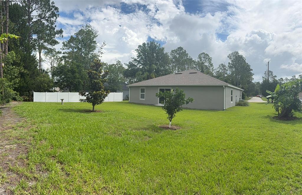 A view of a backyard with a grassy lawn, two small trees, and a house — 177 UNDERWOOD TRAIL, PALM COAST, FL