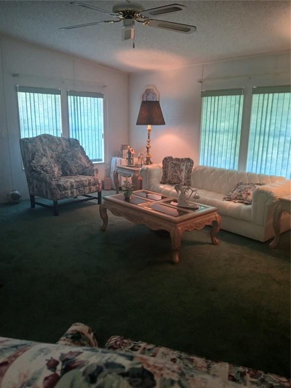 A living room features green carpeting, a white tufted sofa, a floral armchair, and windows — 5415 JACOB AVENUE, POLK CITY, FL