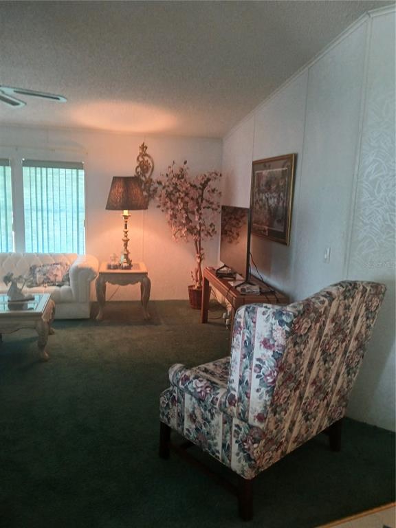 A living room features green carpeting, a floral armchair, a white sofa, and a television — 5415 JACOB AVENUE, POLK CITY, FL