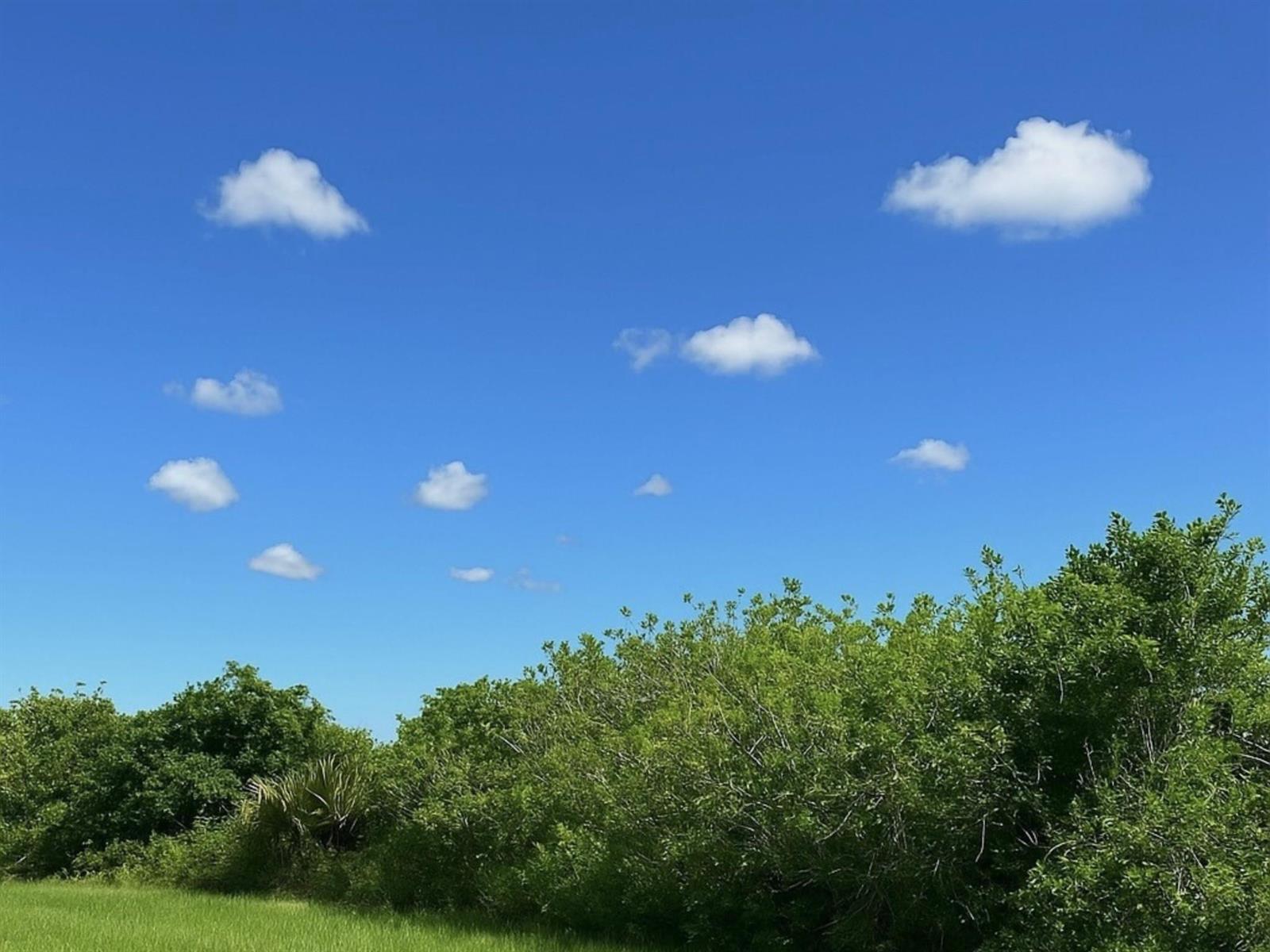 A bright blue sky with scattered white clouds sits above a line of green trees — 6617 SE 26th Trail, Okeechobee FL 34974, OKEECHOBEE, FL