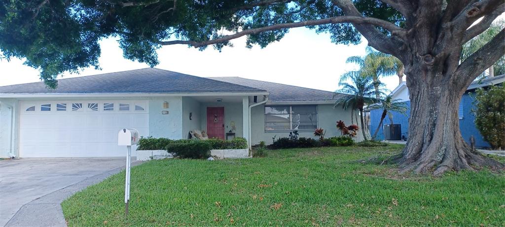 A single-story house with a white garage, pink front door, and a large tree — 4113 STAR ISLAND DRIVE, HOLIDAY, FL