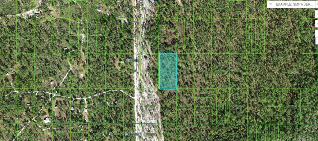 This aerial map shows a highlighted rectangular plot of land surrounded by dense forest — HWY 630 E, LAKE WALES, FL