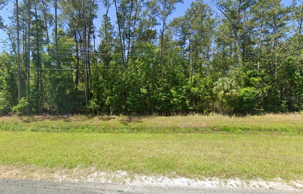 A grassy lot with a drainage ditch in front of a dense line of trees — 00 SE US 19 HIGHWAY, OTTER CREEK, FL