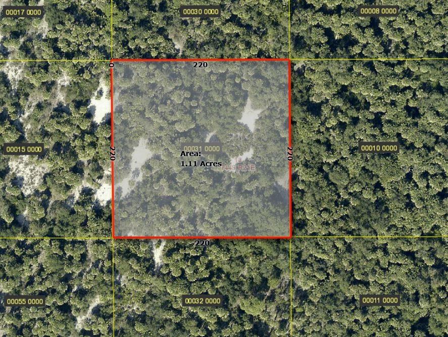 ACCESS UNDETERMINED, BOKEELIA, FL — photo 3 of 11