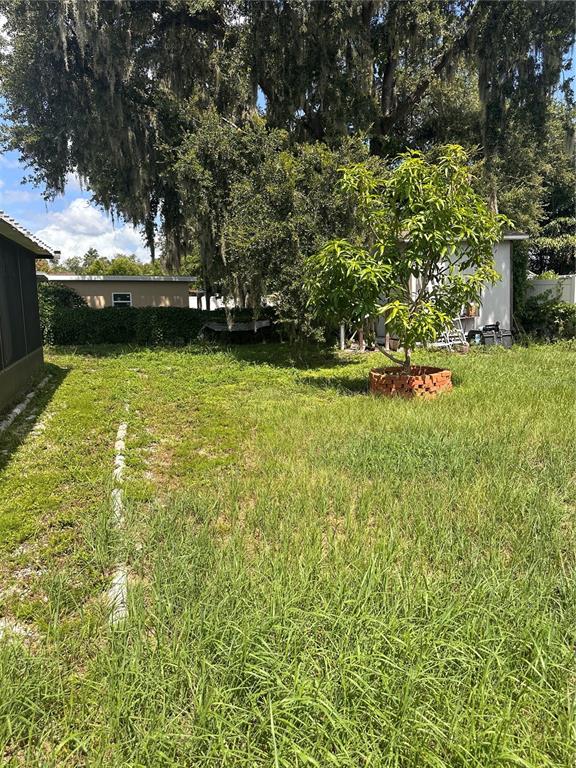 A grassy backyard features a small tree in a brick planter and a storage shed — 8848 OAK CIRCLE, TAMPA, FL