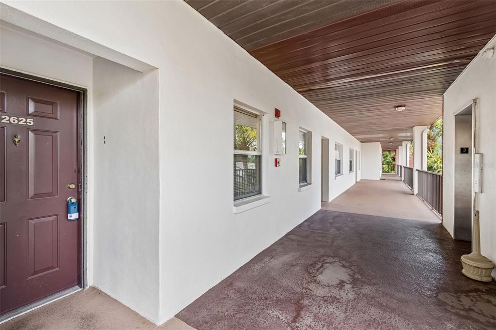 An exterior apartment hallway features a brown door, white walls, and a covered walkway — 2438 ENTERPRISE ROAD UNIT 25, CLEARWATER, FL