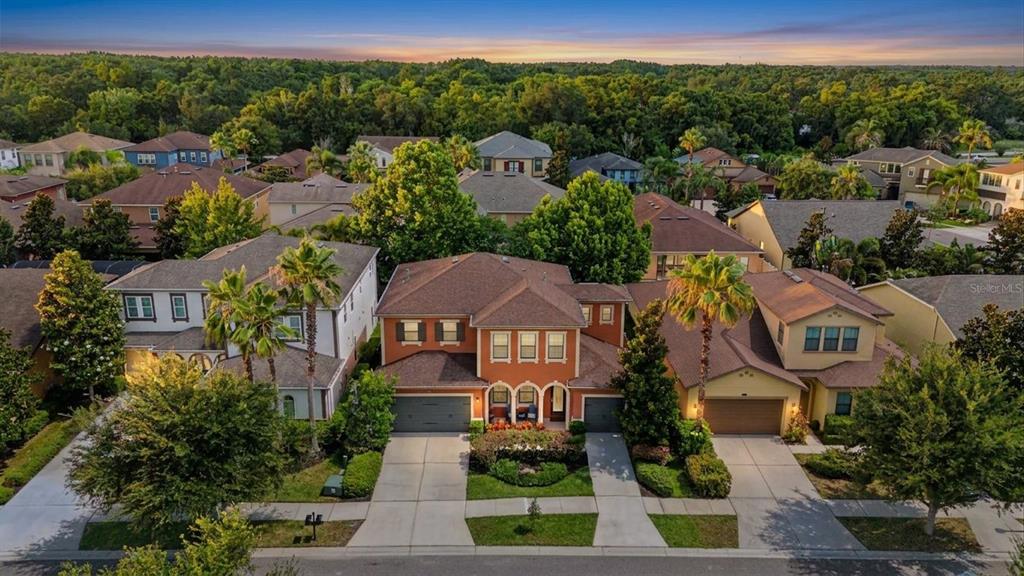 An aerial view shows a two-story orange house with a driveway and surrounding suburban homes — 14317 AVON FARMS DRIVE, TAMPA, FL