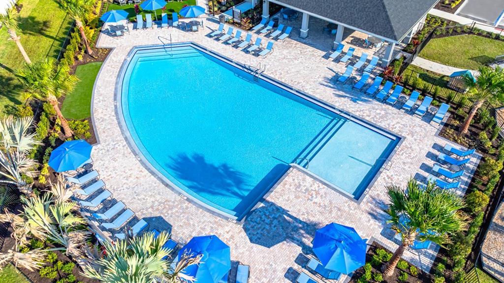An aerial view shows a swimming pool with lounge chairs and umbrellas on a patio — 868 STEEL DRIVE, APOLLO BEACH, FL