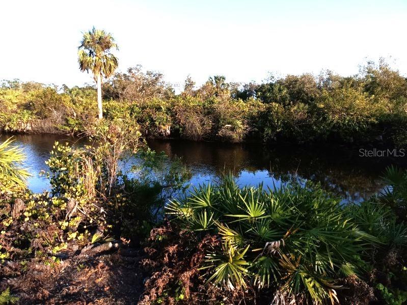 A view of a dark, narrow canal lined with dense Florida vegetation and palm trees — 27498 NEAPTIDE DRIVE, PUNTA GORDA, FL