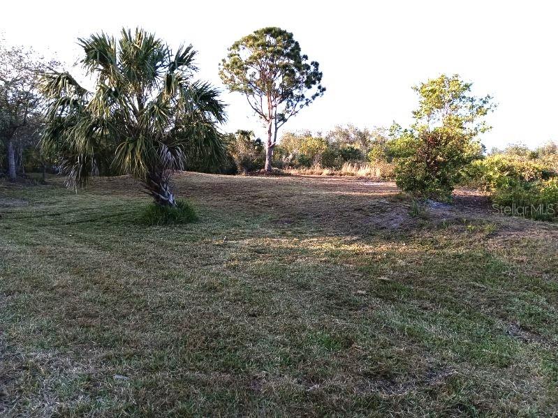 A grassy, open lot features a large palm tree and a tall pine tree — 27498 NEAPTIDE DRIVE, PUNTA GORDA, FL