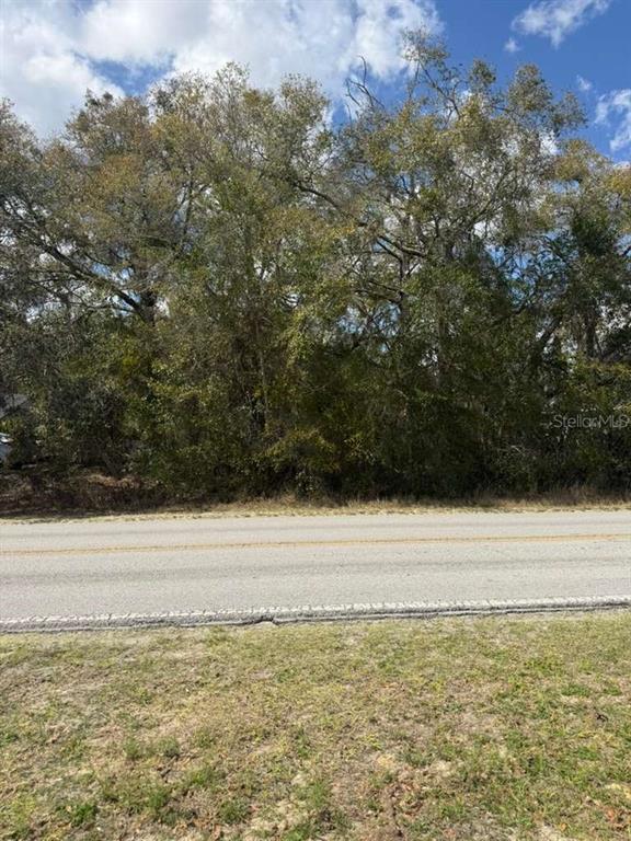 A paved road runs in front of a dense, wooded lot with mature trees — 0000 SW 140TH AVE, OCALA, FL