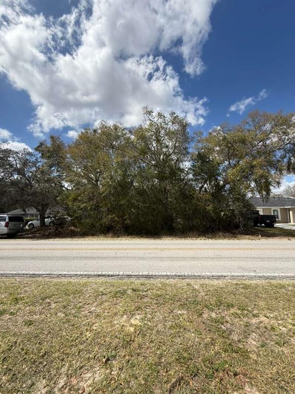 A vacant, tree-covered lot sits between two houses along a paved road — 0000 SW 140TH AVE, OCALA, FL