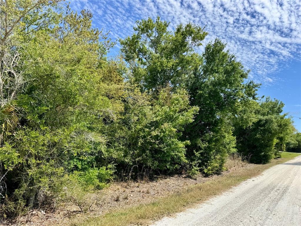 A dirt road runs alongside a dense, wooded lot under a blue, cloudy sky — 27054 MINGO DRIVE, PUNTA GORDA, FL