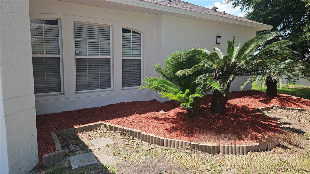 A white house exterior features a landscaped garden bed with red mulch and palm plants — 4030 LAKE BLUFF DRIVE, MASCOTTE, FL