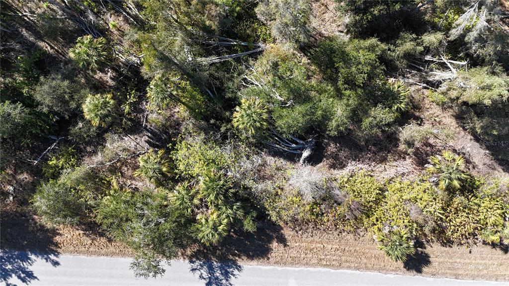 An aerial view shows a wooded lot with palm trees next to a paved road — 1071 FORRESTAL STREET, PORT CHARLOTTE, FL