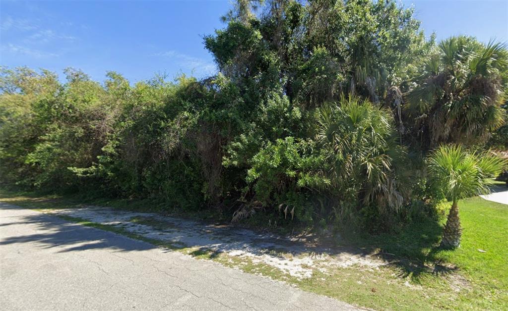 A dense, overgrown wooded lot sits adjacent to a paved road under a clear sky — 614 ROBERT AVENUE, LEHIGH ACRES, FL