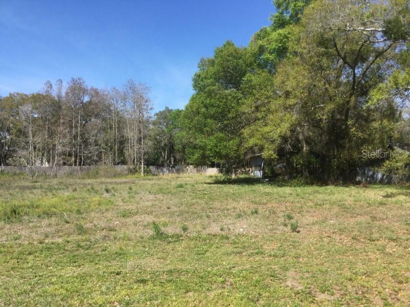 A large, grassy, undeveloped lot is bordered by a wooden fence and mature trees — 7721 GUNN HIGHWAY, TAMPA, FL