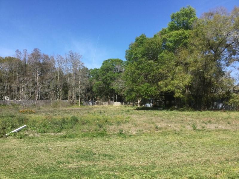A grassy, undeveloped lot features scattered trees and a wooden fence in the background — 7721 GUNN HIGHWAY, TAMPA, FL