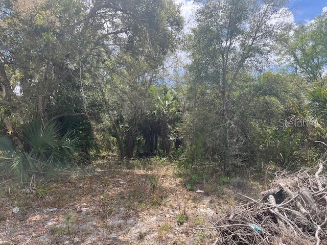 A wooded lot with dense trees, palmettos, and a pile of brush in the foreground — SCOTTISH TERRACE, NORTH PORT, FL