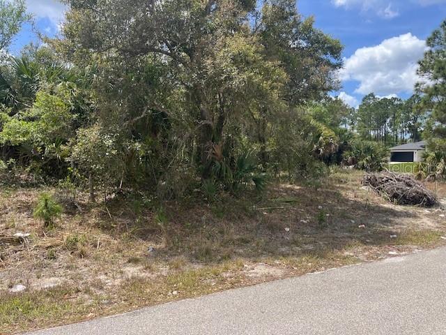 A vacant, wooded lot sits along a paved road with a house visible in the distance — SCOTTISH TERRACE, NORTH PORT, FL