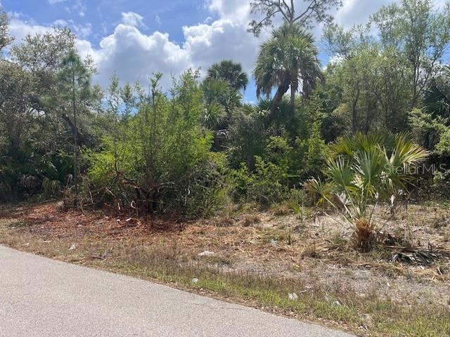 A vacant, wooded lot sits adjacent to a paved road under a cloudy sky — SCOTTISH TERRACE, NORTH PORT, FL