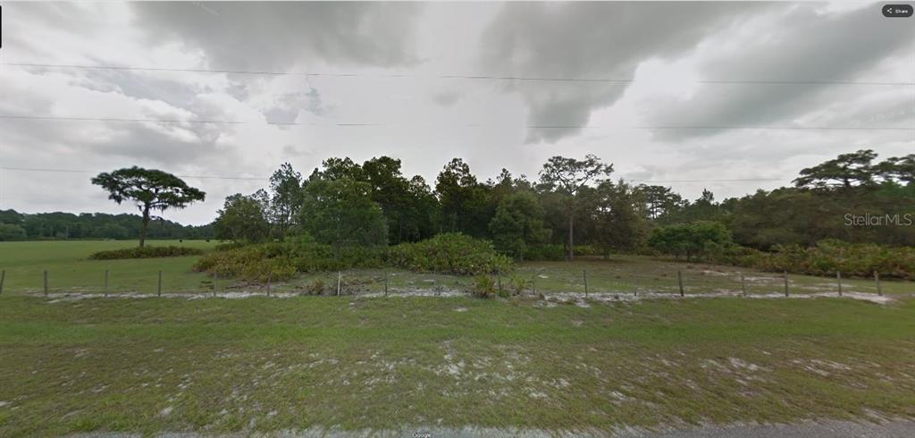 A grassy, fenced lot with scattered trees and shrubs under a cloudy sky — SUN JUAN AVE, POLK CITY, FL