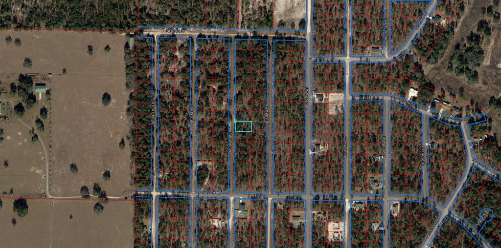 This is an aerial map showing a vacant lot highlighted in blue within a wooded subdivision — TBD NE 148 TERRACE, WILLISTON, FL