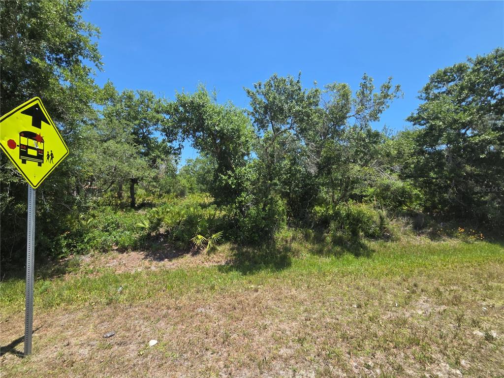 A yellow school bus stop sign stands beside a wooded, undeveloped lot under a clear sky — 33410 WASHINGTON LOOP ROAD, PUNTA GORDA, FL