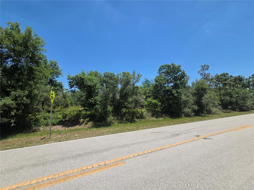 A paved road runs alongside a wooded, undeveloped lot under a clear blue sky — 33410 WASHINGTON LOOP ROAD, PUNTA GORDA, FL
