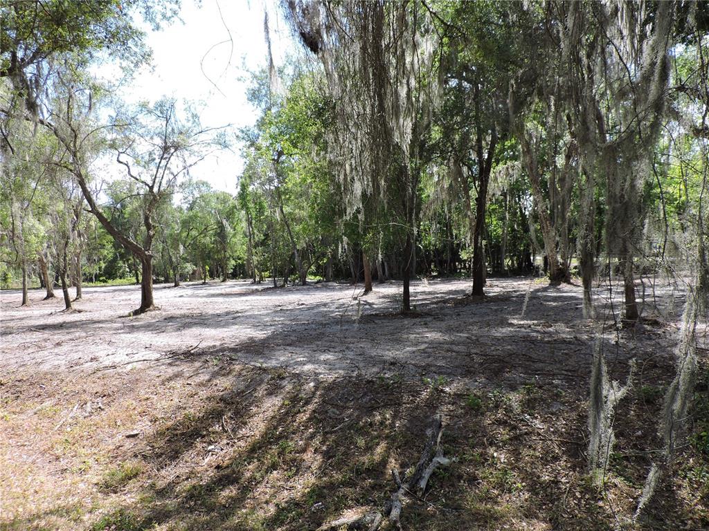 A cleared, sandy lot is surrounded by mature trees draped with Spanish moss — COUNTY ROAD 309, CRESCENT CITY, FL