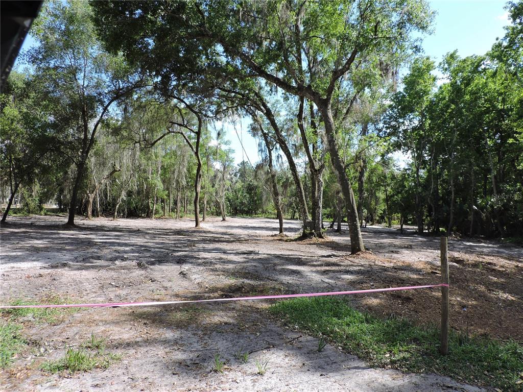 A cleared, sandy lot features several large, mature trees under a bright blue sky — COUNTY ROAD 309, CRESCENT CITY, FL