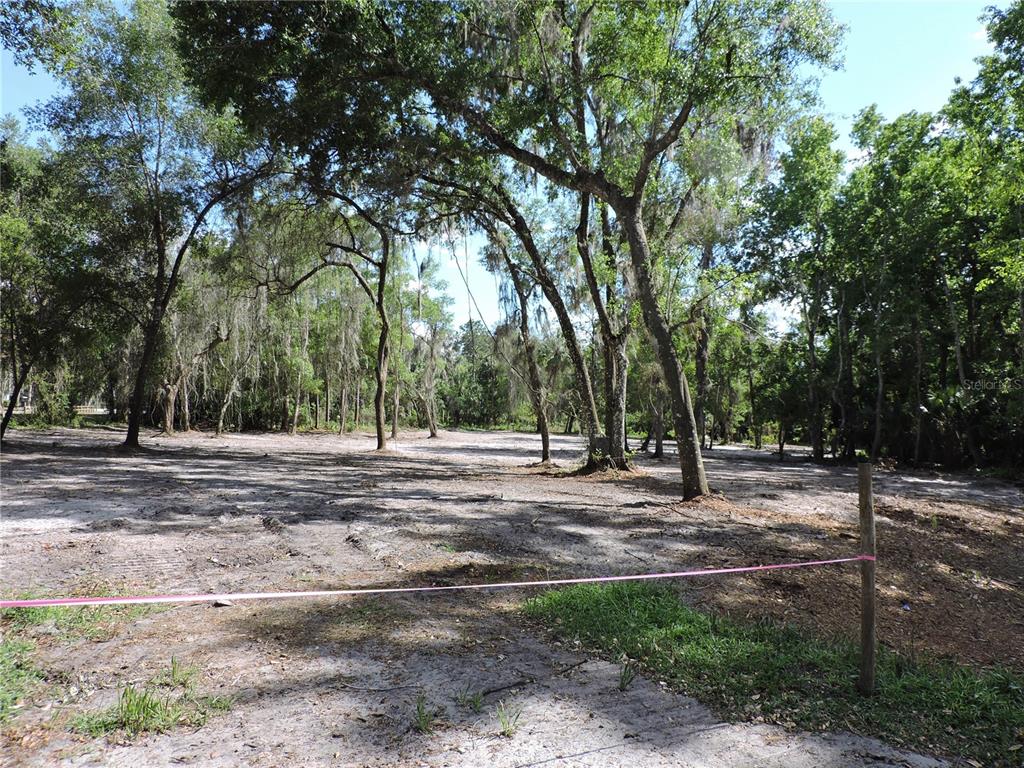 A cleared, sandy residential lot is surrounded by mature trees and marked by pink tape — COUNTY ROAD 309, CRESCENT CITY, FL