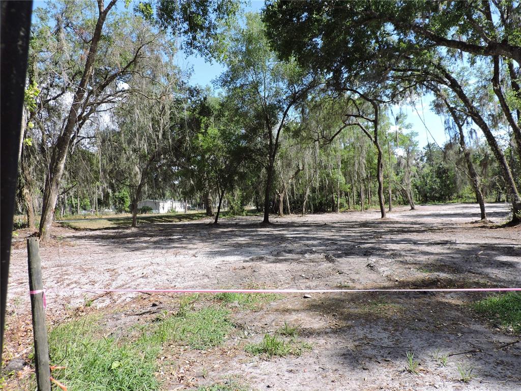 A cleared, sandy lot features several large trees with Spanish moss under a blue sky — COUNTY ROAD 309, CRESCENT CITY, FL