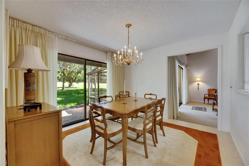 A dining room features a wooden table, chandelier, and sliding glass doors overlooking a yard — 29903 BAYWOOD LANE, WESLEY CHAPEL, FL