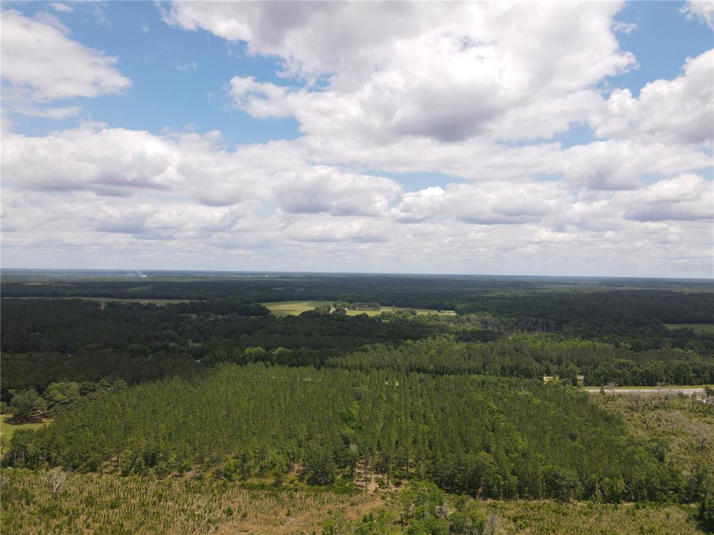 An aerial view shows a large expanse of pine forest and open fields under clouds — TBD N STATE ROAD 121, ALACHUA, FL