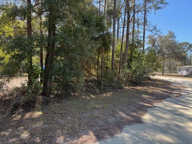 A dirt road runs alongside a wooded lot with tall pine trees and palmettos — 10220 W OHIO DRIVE, CRYSTAL RIVER, FL