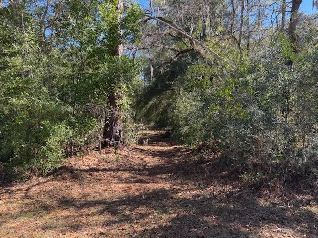 A dirt path leads through a dense, wooded area with mature trees and thick underbrush — 10220 W OHIO DRIVE, CRYSTAL RIVER, FL
