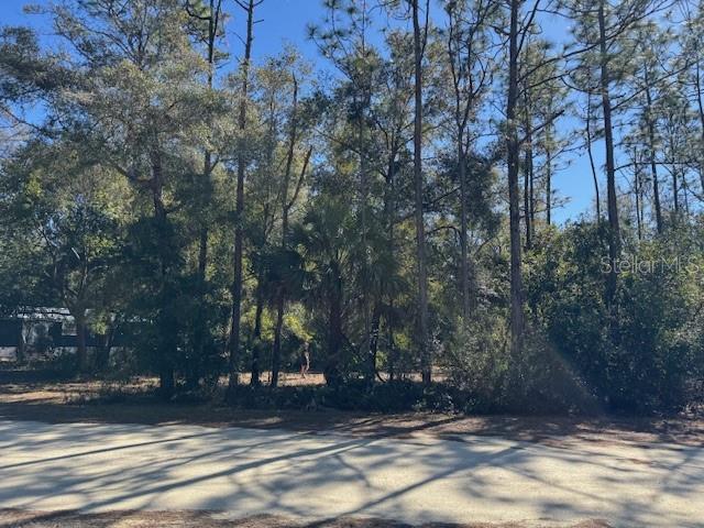 A wooded, undeveloped lot with tall pine trees and a dirt road in the foreground — 10220 W OHIO DRIVE, CRYSTAL RIVER, FL