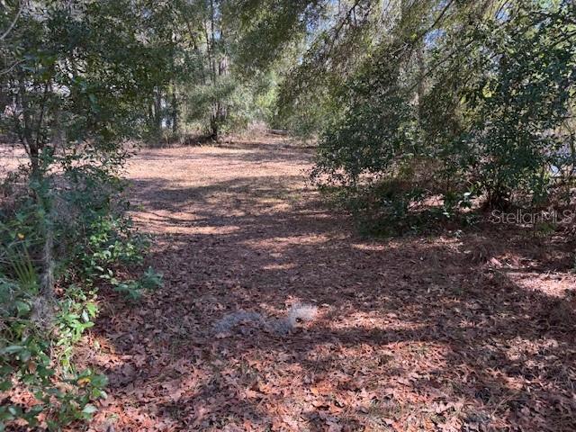A wooded, leaf-covered lot with mature trees and dappled sunlight — 10220 W OHIO DRIVE, CRYSTAL RIVER, FL