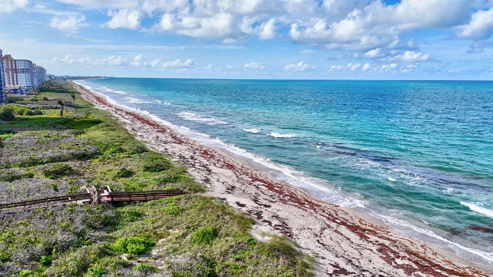An aerial view of a sandy beach with seaweed, coastal vegetation, and high-rise buildings nearby — 3870 N Highway A1a # 805, Fort Pierce FL 34949, FORT PIERCE, FL