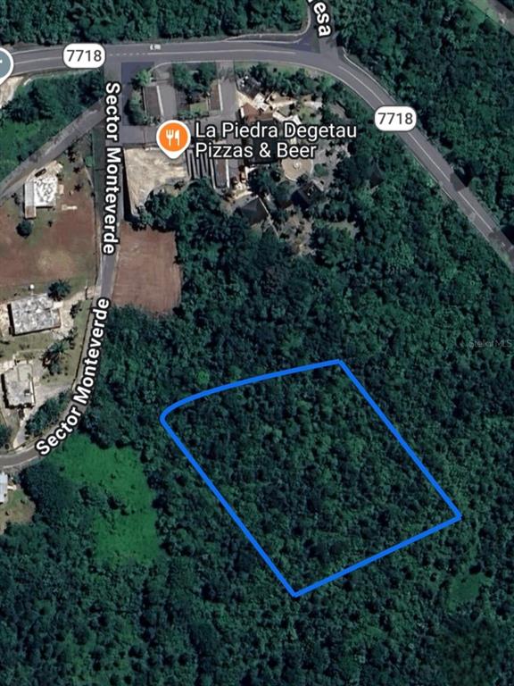 This is an aerial map showing a plot of land outlined in blue near a road — PR 7718 KM 3.6 PASTO WARD, AIBONITO, PR