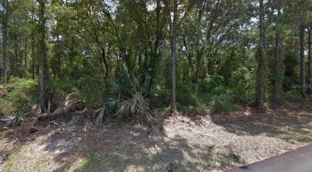 A wooded lot with dense trees and palmetto bushes borders a paved road — LOT 35 DORIE STREET, NORTH PORT, FL