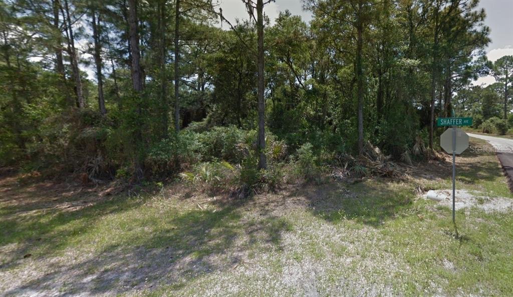 A wooded, undeveloped lot is located at a street corner with a stop sign — LOT 35 DORIE STREET, NORTH PORT, FL