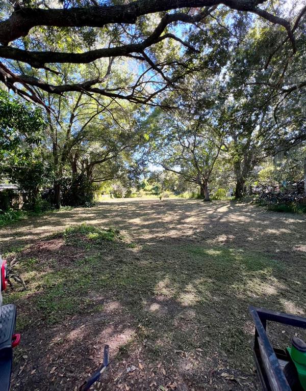 A large, cleared grassy lot is shaded by several mature trees under a sunny sky — 47 OAK STREET, WINTER GARDEN, FL