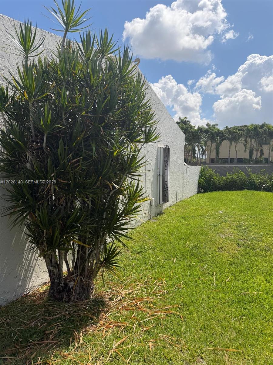 A large yucca plant stands next to a white stucco wall in a grassy yard — MIAMI, FL