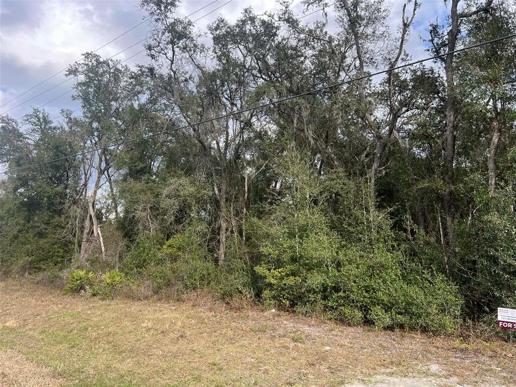 7466 TREIMAN BOULEVARD, WEBSTER, FL — photo 2 of 6