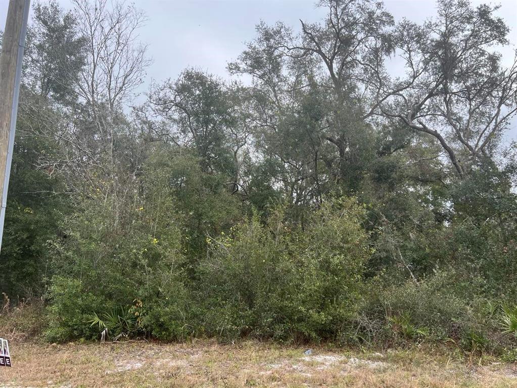 7466 TREIMAN BOULEVARD, WEBSTER, FL — photo 3 of 6