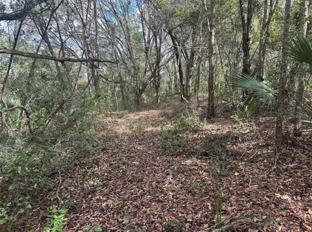 0 SOUTH LAKE HIAWATHA DRIVE, LADY LAKE, FL — photo 3 of 22