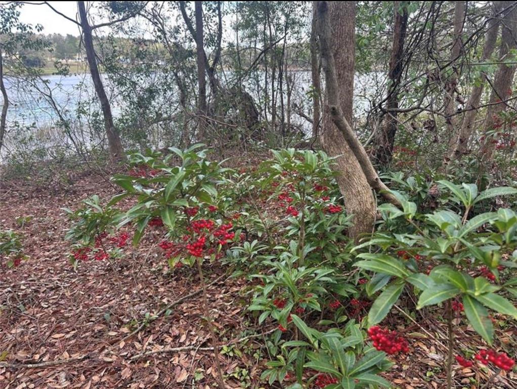 0 SOUTH LAKE HIAWATHA DRIVE, LADY LAKE, FL — photo 4 of 22
