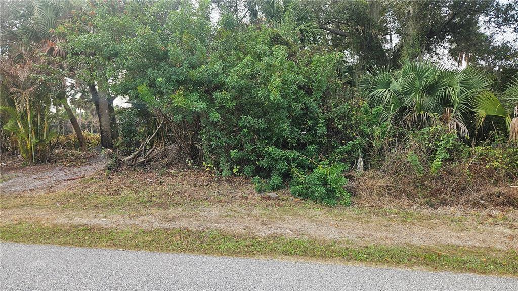 A view of a vacant, wooded lot with dense vegetation and trees along a paved road — NADASKY LOT #47 AVENUE, NORTH PORT, FL